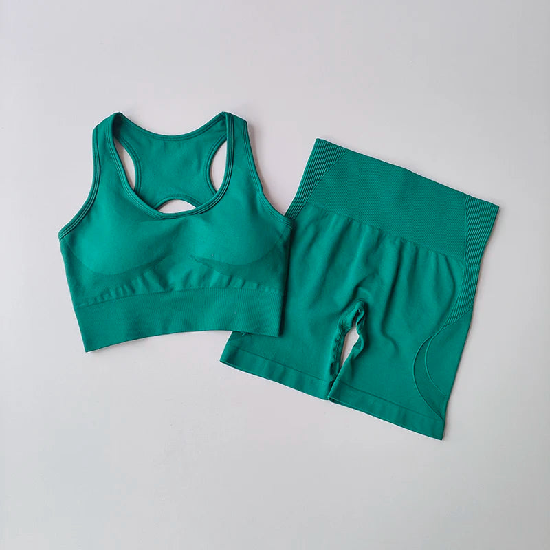 2 PCS Women's Sexy sport bra, high waist Yoga Set
